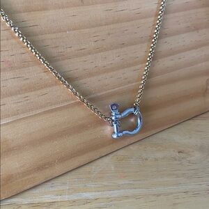NWOT Gold Carabiner Necklace